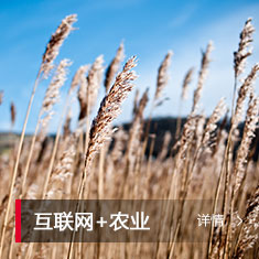 J9游戏·【中国】官方网站